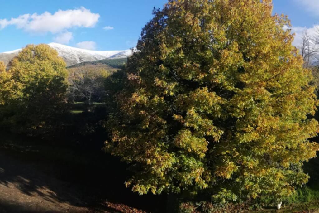 Apto. Rural Las Candelas. La Covatilla Daire Candelario Dış mekan fotoğraf